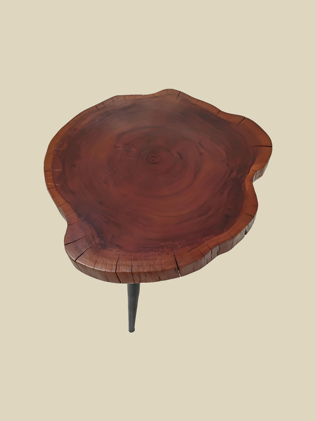 Logan Organic Shape Side Table - Large
