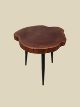 Logan Organic Shape Side Table - Large