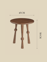 Rodney Mango Wood Side Table