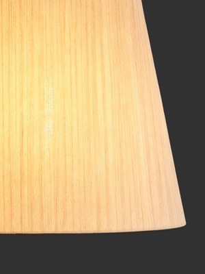 Brian Silk Lampshade