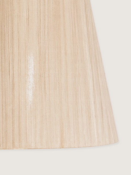 Brian Silk Lampshade