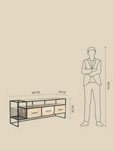 Bettina Mango Wood Media Unit