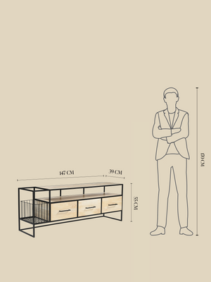 Bettina Mango Wood Media Unit