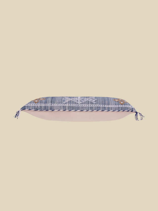 Savya Embroidered Cotton Cushion