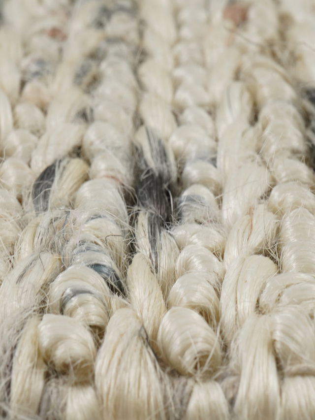 Samaira Hand-woven Jute Rug