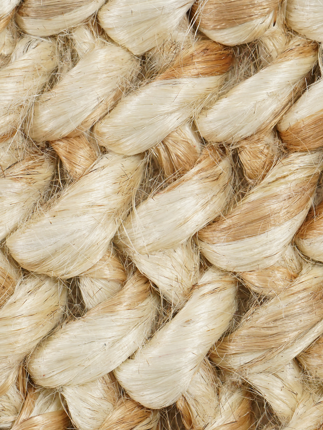 Shazia Hand-woven Jute Rug