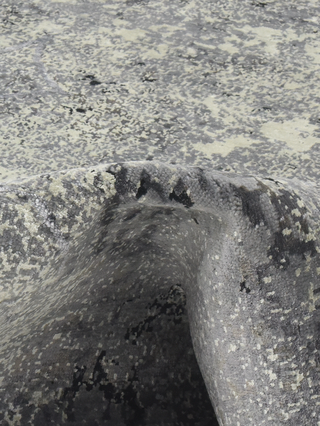 Nerith Hand-Knotted Wool & Bamboo Silk Rug - Grey