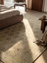 Ronak Wool & Bamboo Silk Hand-Knotted Rug