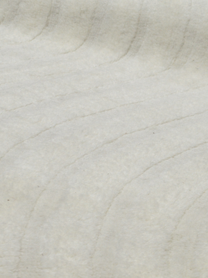 Sharon Wool Shaggy Washable Rug - Ivory