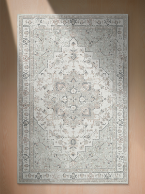 Aram Hand-woven Washable Persian Rug - Beige
