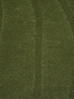 Shiraz Wool Hand-tufted Rug - Olive Green