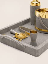Rex Shagreen Print Leather Cocktail Set - Grey