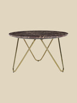 Edwin Marble Coffee Table - Gold Base