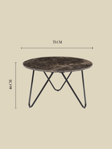 Aiden Marble Coffee Table - Black Base