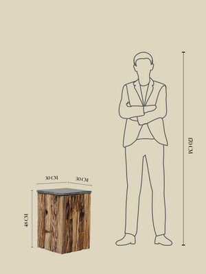 Hart Reclaimed Wood Side Table