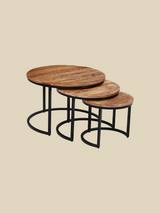 Silvana Mango Wood Nesting Coffee Table