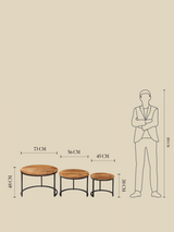 Silvana Mango Wood Nesting Coffee Table