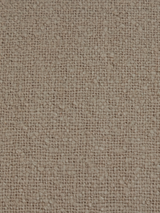 Sylva Cotton Cushion