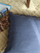 Zina Cotton-Linen Blue Cushion