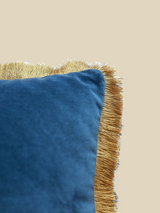 Caelum Velvet Cushion