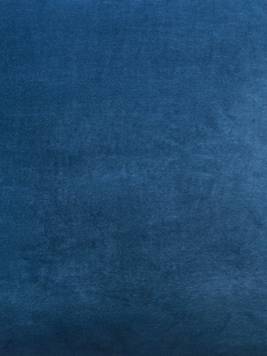 Caelum Velvet Cushion