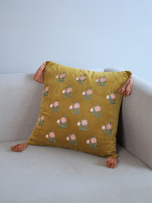 Cyrus Velvet Cushion