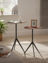 Ember Set of 2 Iron Side Tables