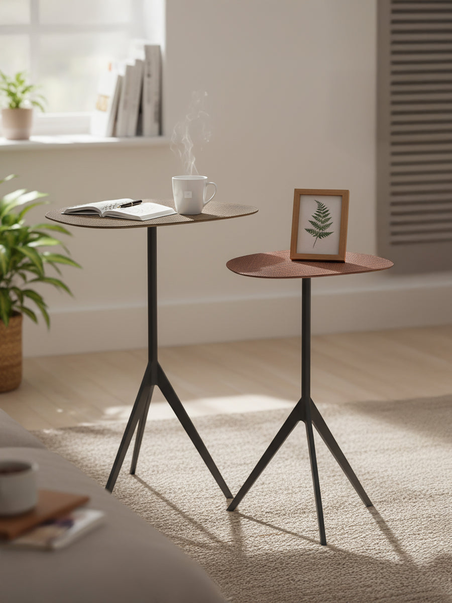 Ember Set of 2 Iron Side Tables